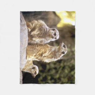 Akt Natural Meerkats Fleecedecke