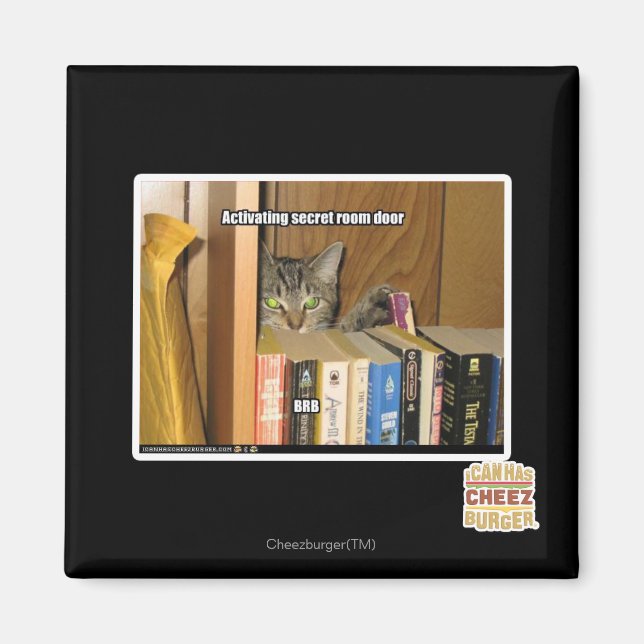 Aktivieren der Tür des geheimen Raums Magnet (Vorne)