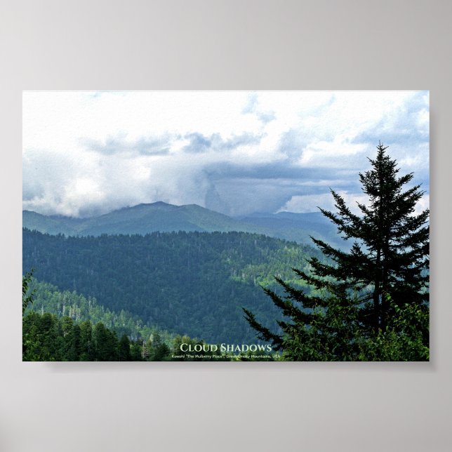 Aktualisiert Kuwohi, Clingmans Dome, Great Smokies Poster (Vorne)