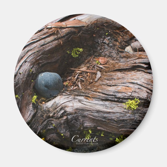 Aktuelles Magnet (Vorne)