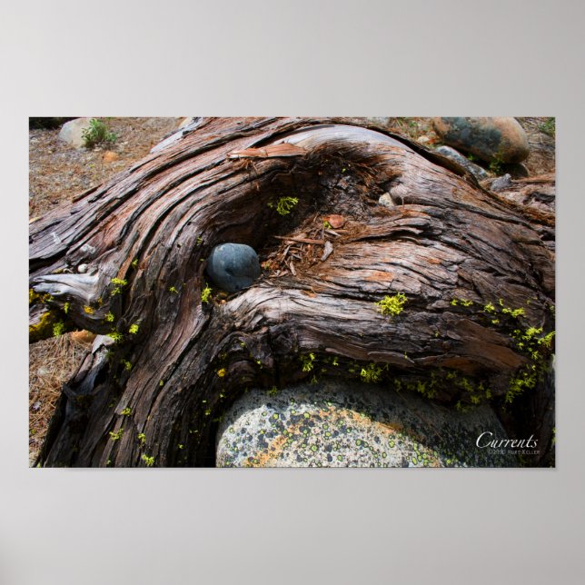 Aktuelles Poster (Vorne)