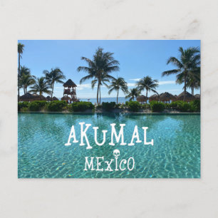 Akumal Mexico Design - Standard Postcard Postkarte