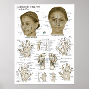 Akupressurpunkte Gesicht Hand Füße Poster