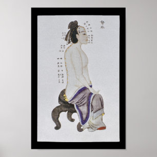 Akupunktur du Mai Meridian Poster