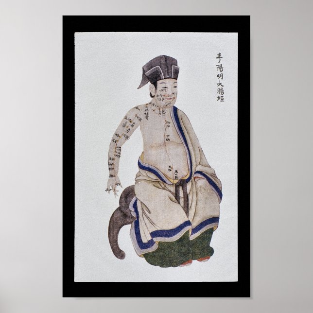 Akupunktur Große Intestine Meridian Hand Yangming Poster (Vorne)