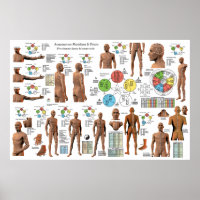 Akupunktur Meridian Point Locations Poster