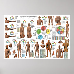 Akupunktur Meridian Point Locations Poster