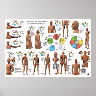 Akupunktur Meridian Points and Pathways Poster