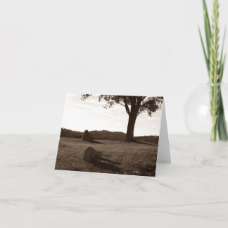 Akustische Gitarre Posing Karte