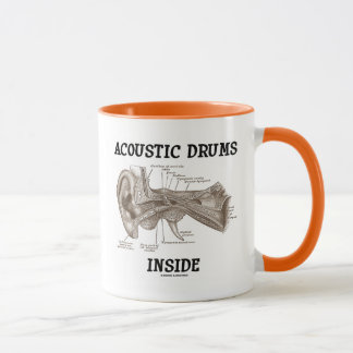 Akustisches Trommel-Innere (Anatomie des Tasse