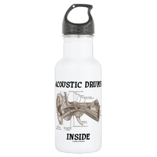 Akustisches Trommel-Innere (Anatomie des Trinkflasche