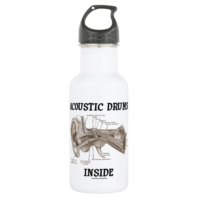 Akustisches Trommel-Innere (Anatomie des Trinkflasche (Vorderseite)