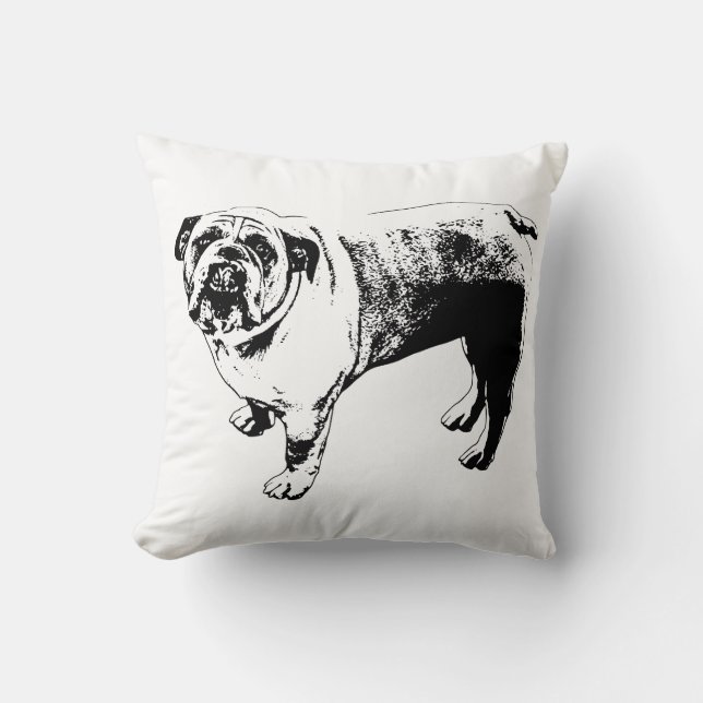 Akzent der Kränzrahmen-Sofa Kissen (Vorderseite)