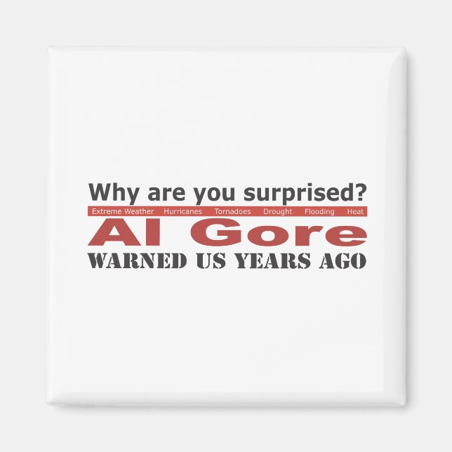 Al Gore warnte uns Magnet (Vorne)