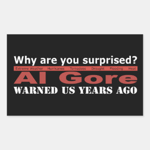Al Gore warnte uns Rechteckiger Aufkleber