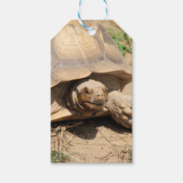 Ala aldabra geschenkanhänger