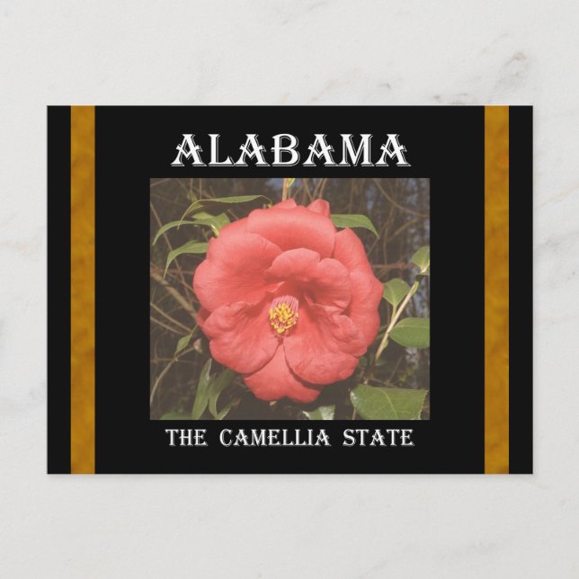Alabama Camellia (rot) Postkarte (Vorderseite)