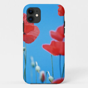Alabama iPhone 11 Hülle