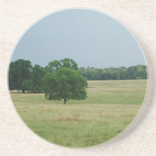 Alabama Landschaft Sandstein Untersetzer