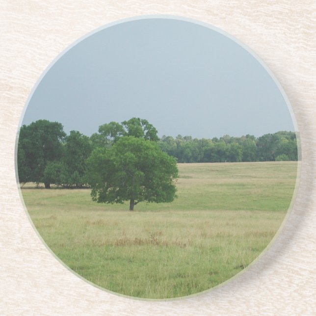 Alabama Landschaft Sandstein Untersetzer (Vorne)