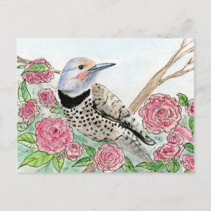 Alabama Postcard Postkarte