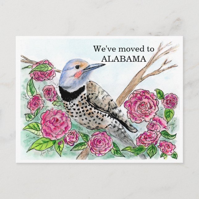 Alabama Postkarte (Vorderseite)