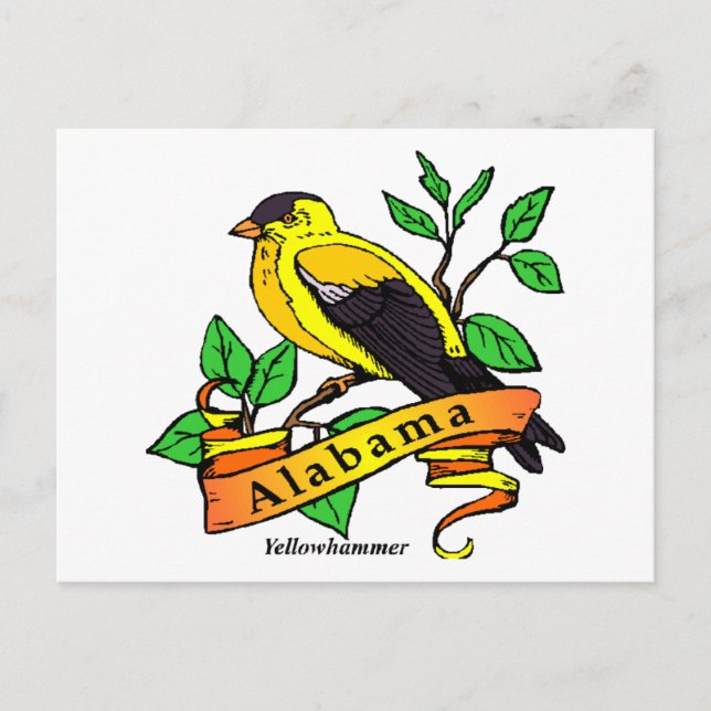 Alabama Staat Bird Postkarte (Vorderseite)
