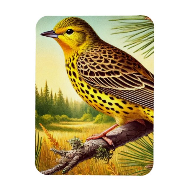 Alabama Staat Bird Yellowhammer Magnet (Vertikal)