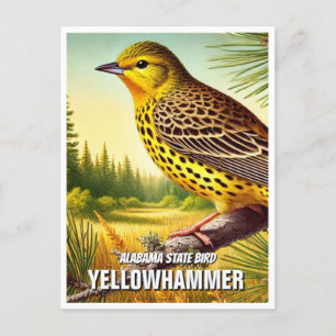 Alabama Staat Bird Yellowhammer Postkarte