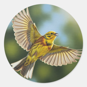 Alabama Staat Bird Yellowhammer Runder Aufkleber