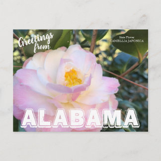 Alabama Staat Blume, Kamelien Postkarte