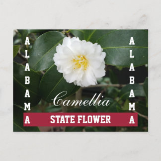 Alabama Staat Blume Postkarte