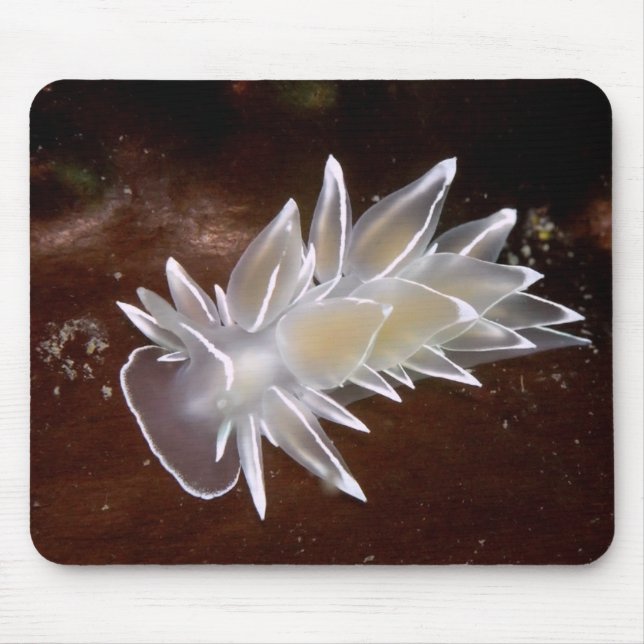 Alabaster NudiBranch Mousepad (Vorne)