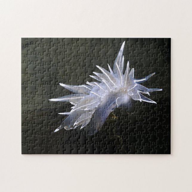 Alabaster NudiBranch Puzzle (Horizontal)
