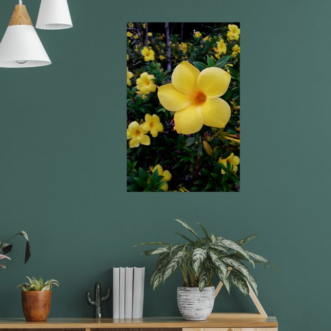 Alamanda Poster (Wohnzimmer 1)