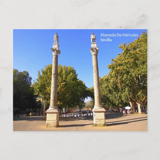 Alameda De Hércules - Sevilla Postkarte (Vorderseite)