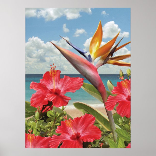Alan Giana "Hibiskus in Paradise" Poster (Vorne)