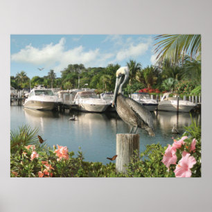 Alan Giana "Pelican Cove" Poster