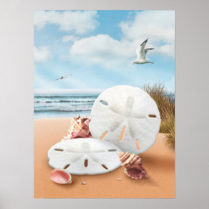 Alan Giana "Sand Dollars" Poster