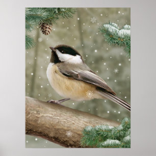 Alan Giana "Winter Chickadee" Poster