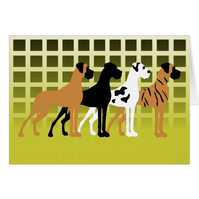 Alano (Vorderseite (Horizontal))