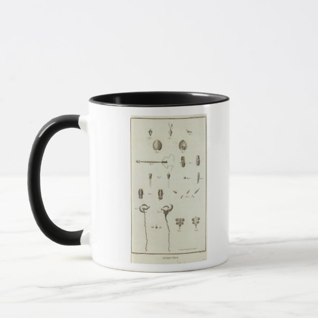 Alaska 3 tasse (Links)