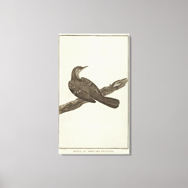 Alaska 6 leinwanddruck (Vorderseite)