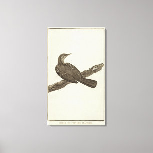 Alaska 6 leinwanddruck