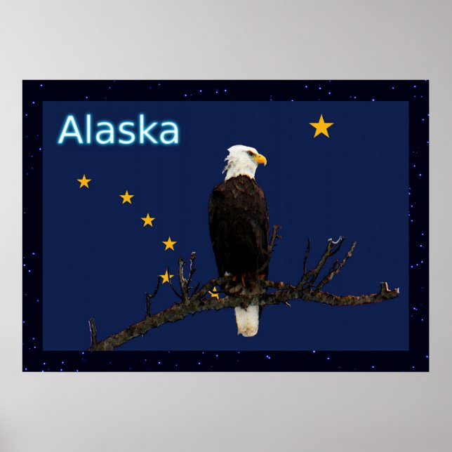 Alaska Adler und Fahne Poster (Vorne)