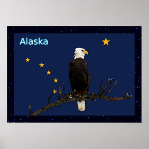 Alaska Adler und Fahne Poster