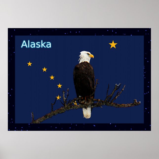 Alaska Adler und Fahne Poster (Vorne)