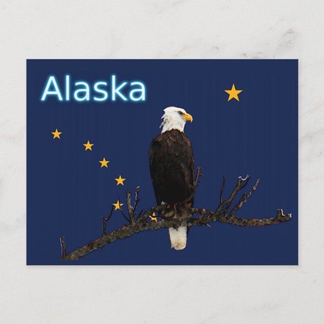 Alaska Adler und Fahne Postkarte (Vorderseite)