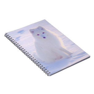 Alaska Arctic Winter Fox Foto Designed Journal Notizblock
