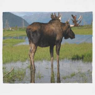 Alaska Bull Moose Antler Rack Outdoor Scene Foto Fleecedecke